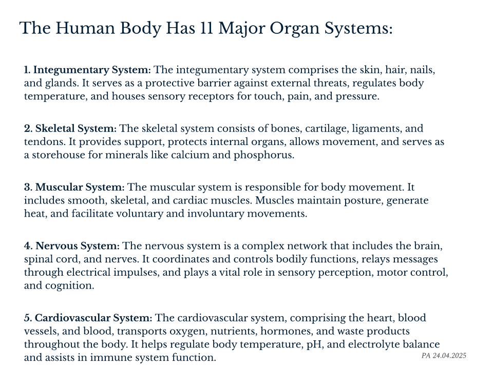 Systems One