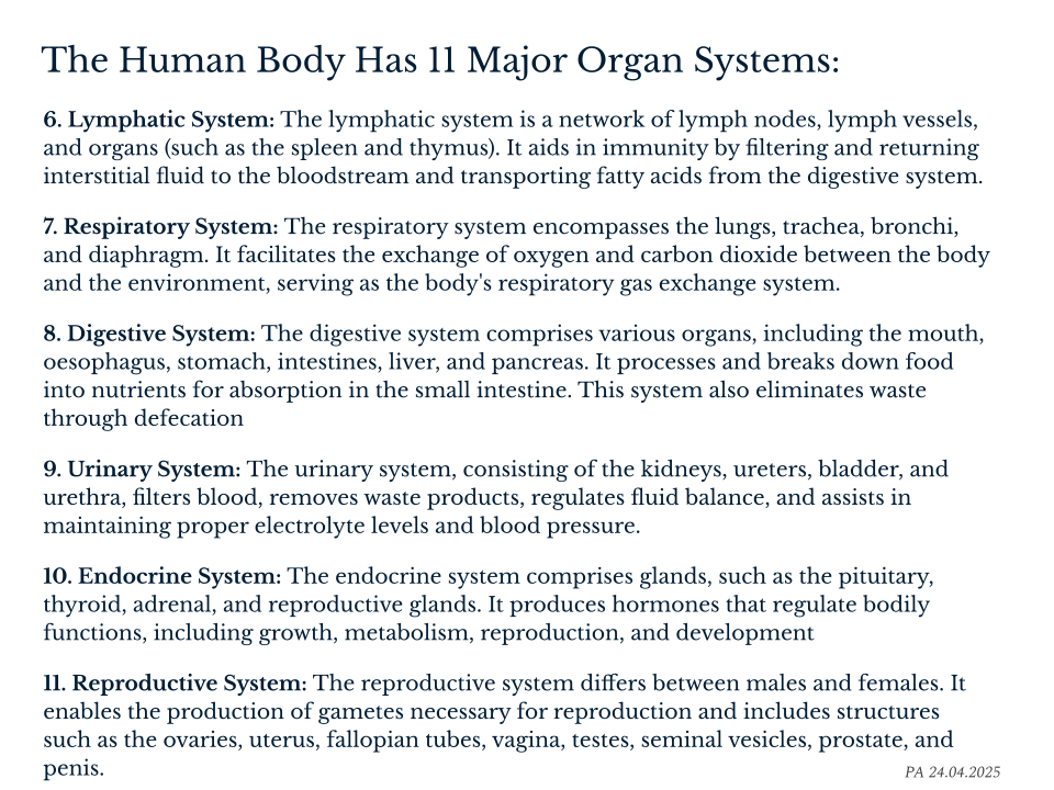 Systems Two