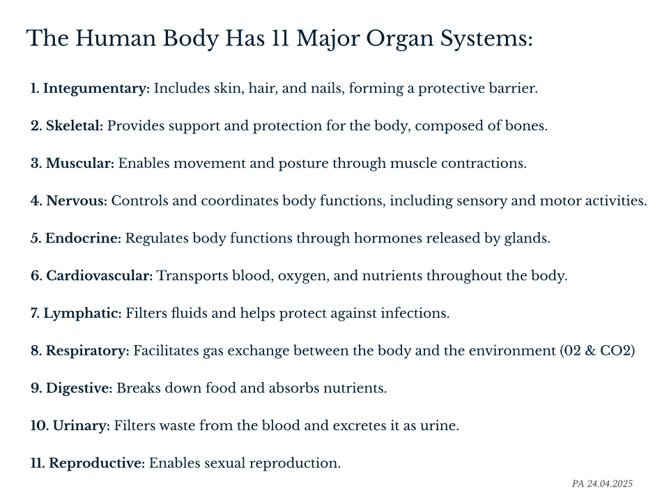 Introduction to Systems